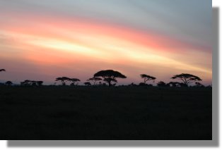 Solopgang over Serengethi